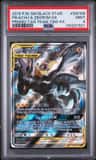 Pikachu & Zekrom Gx