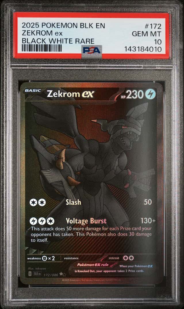 ZEKROM ex