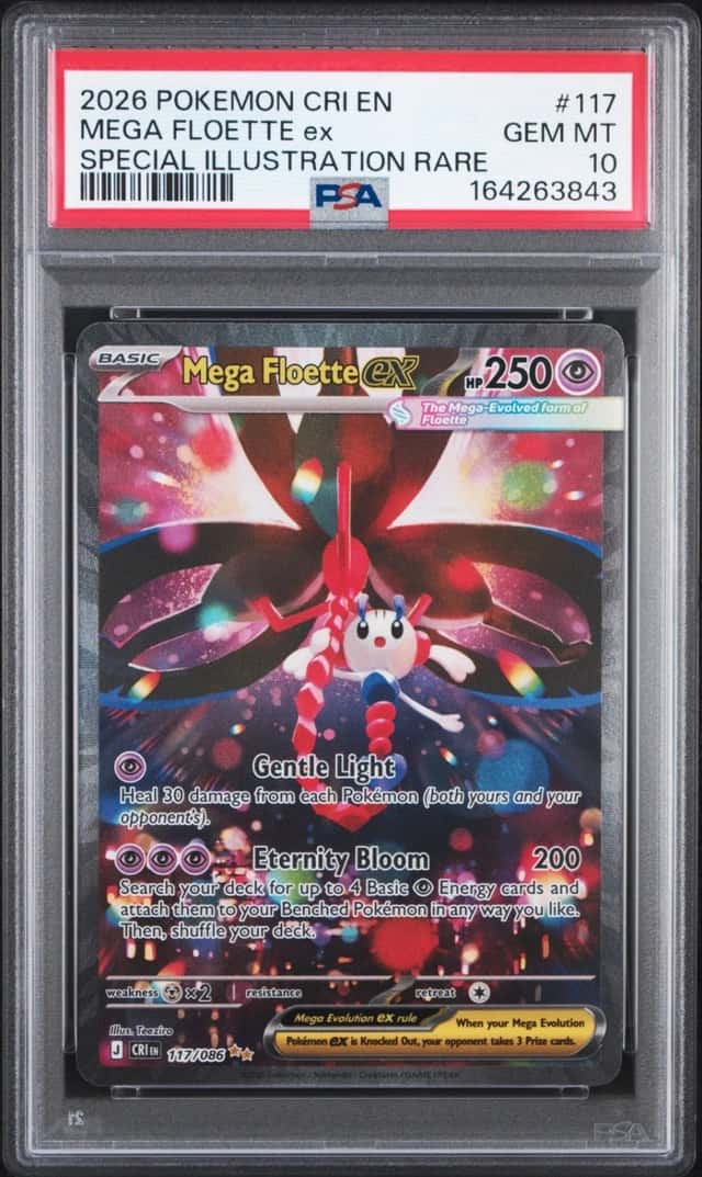 MEGA FLOETTE ex