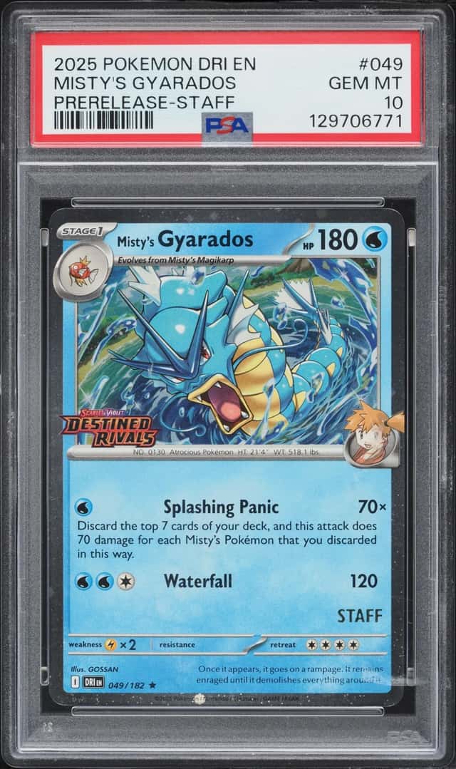 Misty's Gyarados