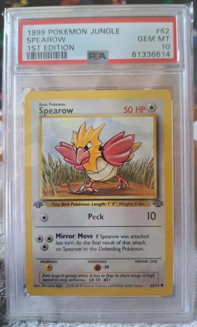 Spearow