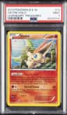 Victini