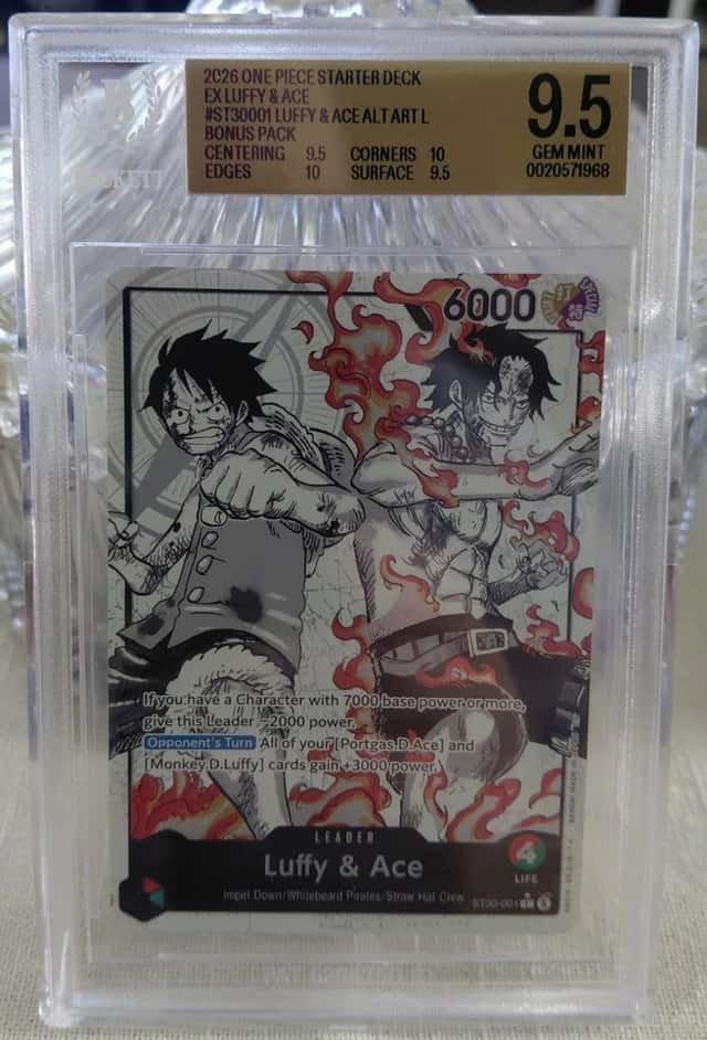 Luffy & Ace