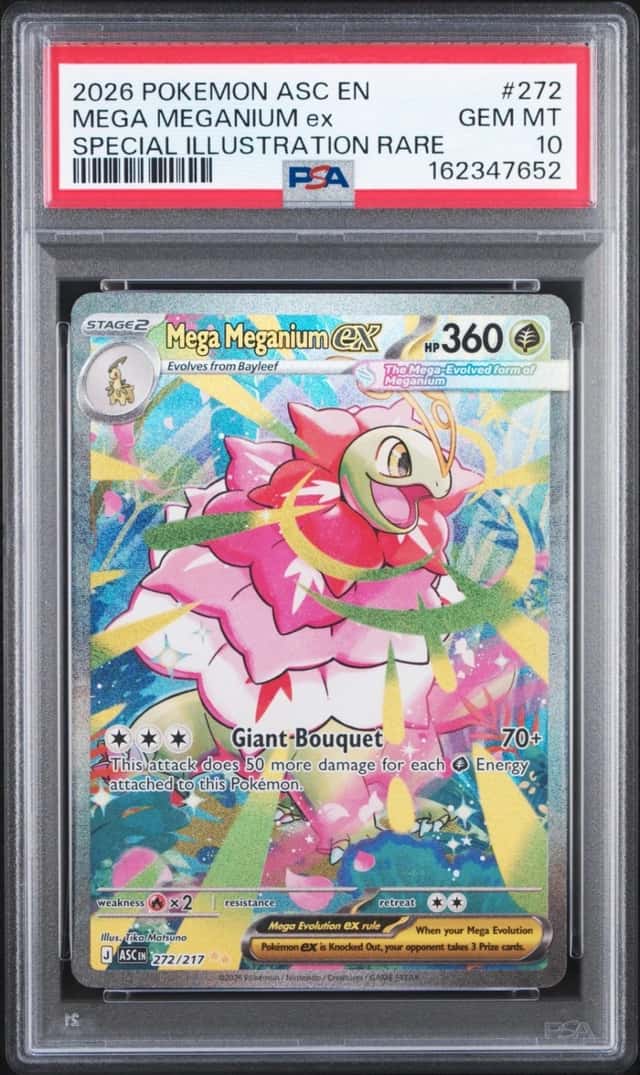 MEGA MEGANIUM ex