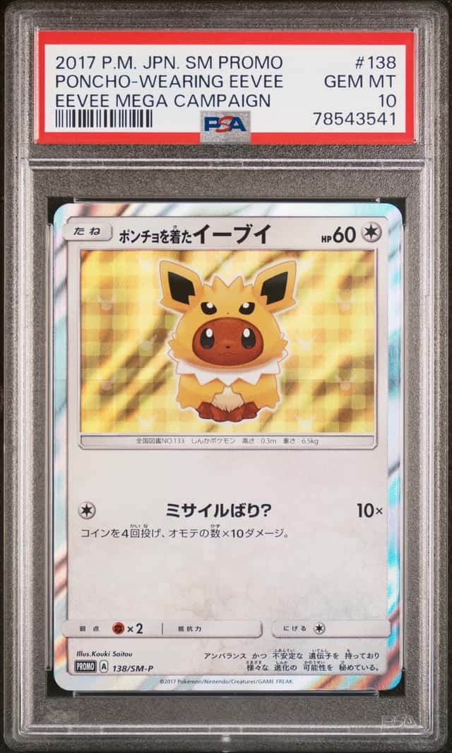 Poncho-wearing Eevee