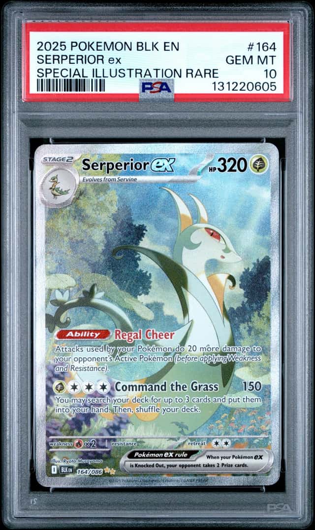 SERPERIOR ex