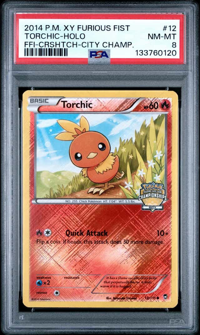 Torchic