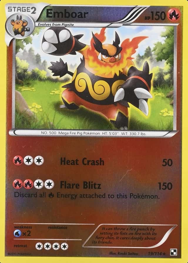 Reverse Holo