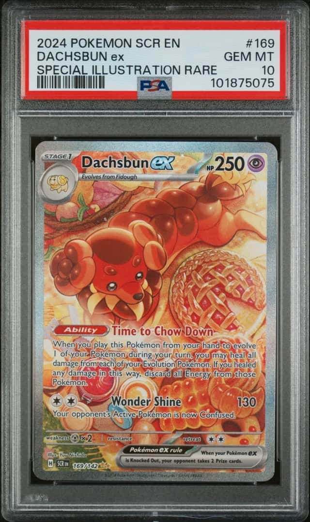 DACHSBUN ex