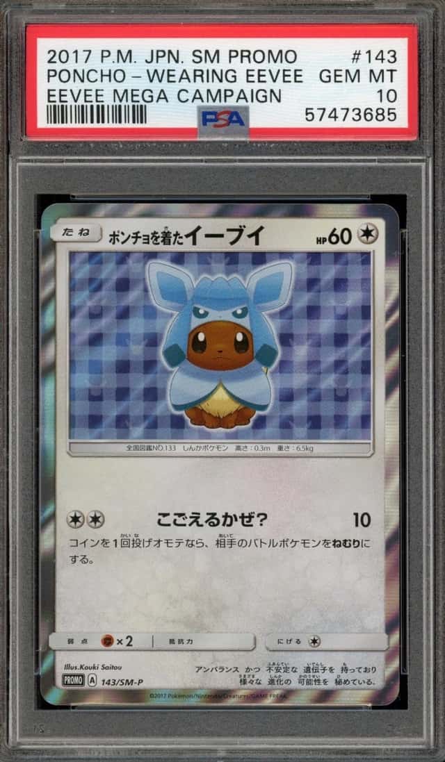 Poncho-Wearing Eevee