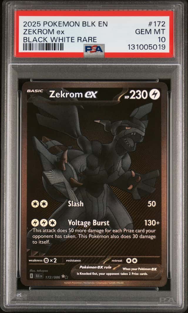 ZEKROM ex