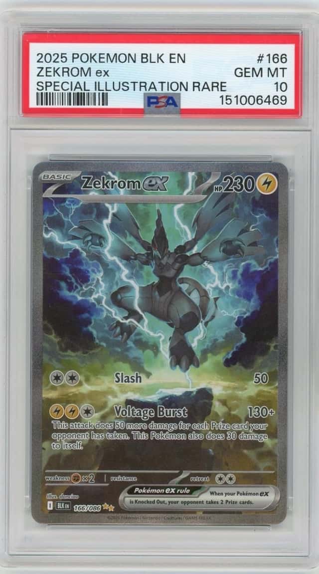 ZEKROM ex