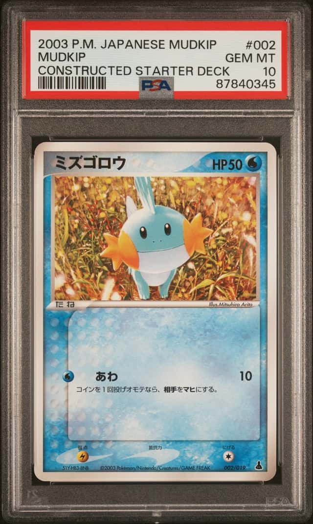 Mudkip