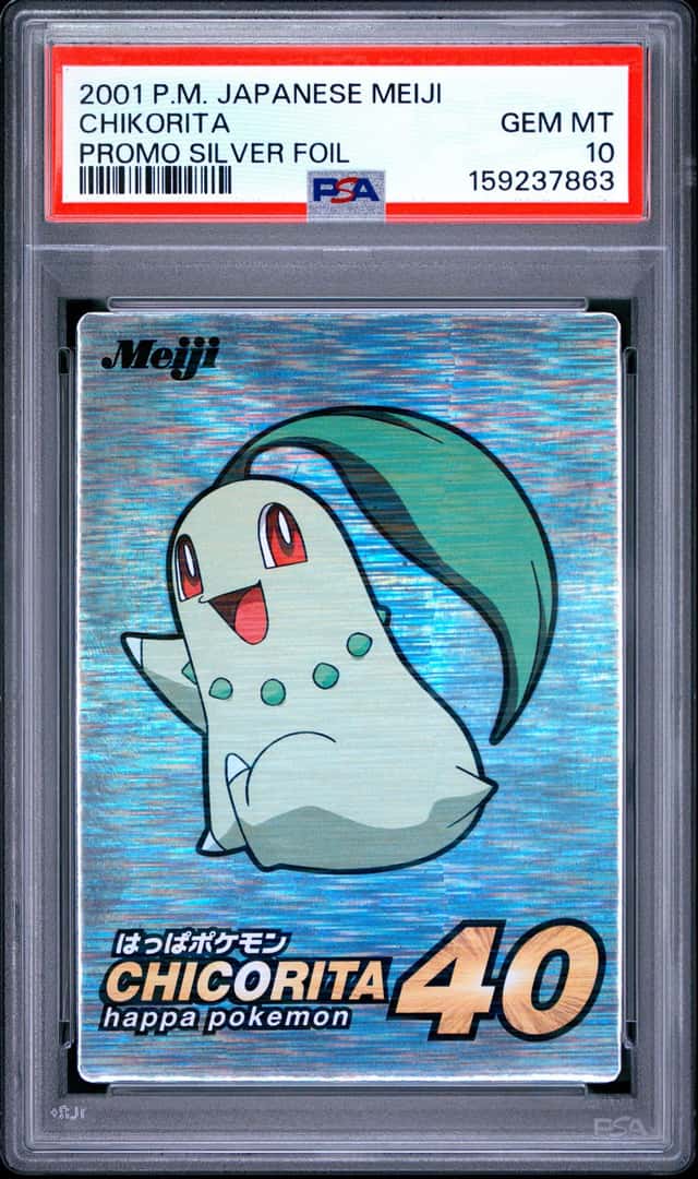 Chikorita