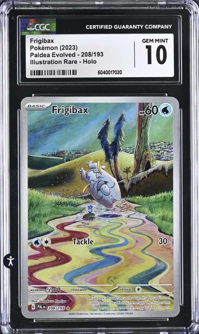 Frigibax