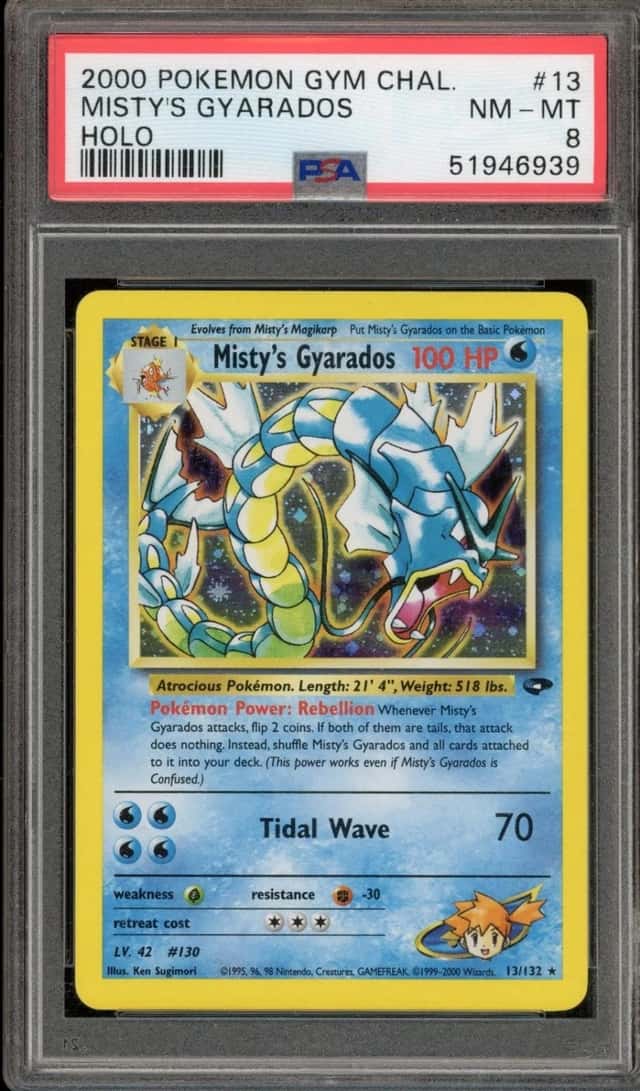 Misty's Gyarados