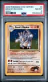 Brock'S Rhydon