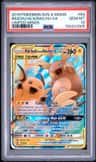Raichu & Alolan Raichu Gx