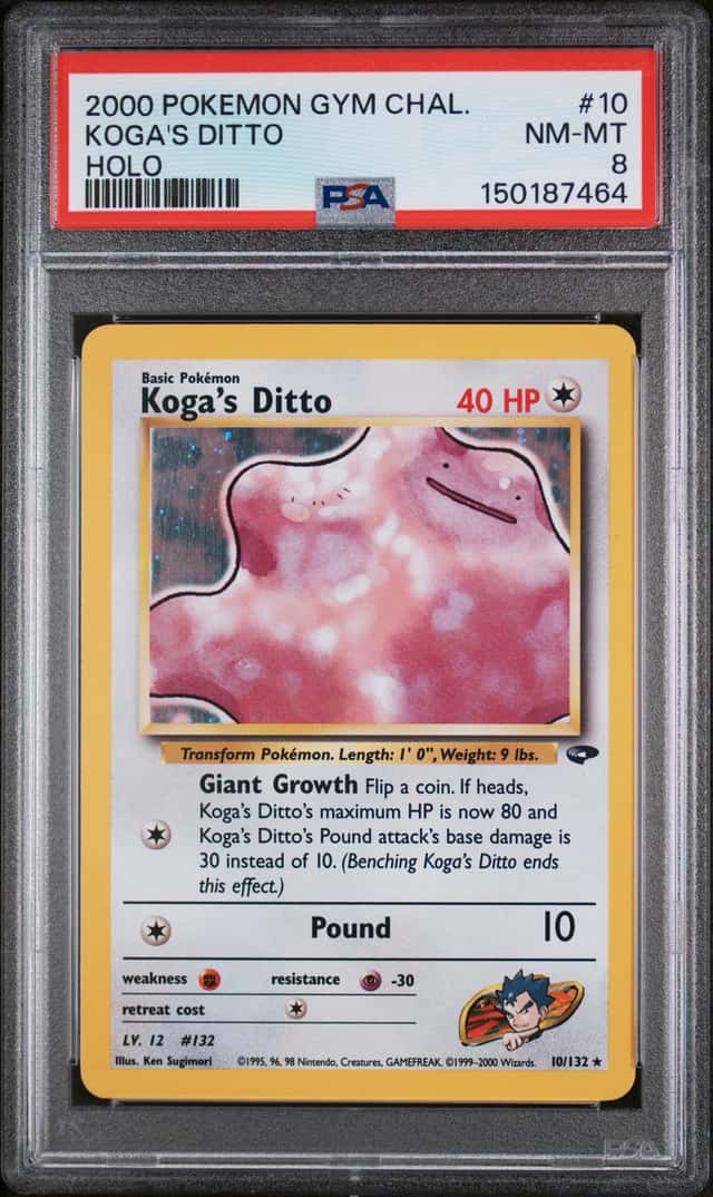 Koga's Ditto