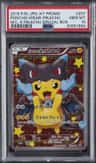 Poncho-Wearing Pikachu