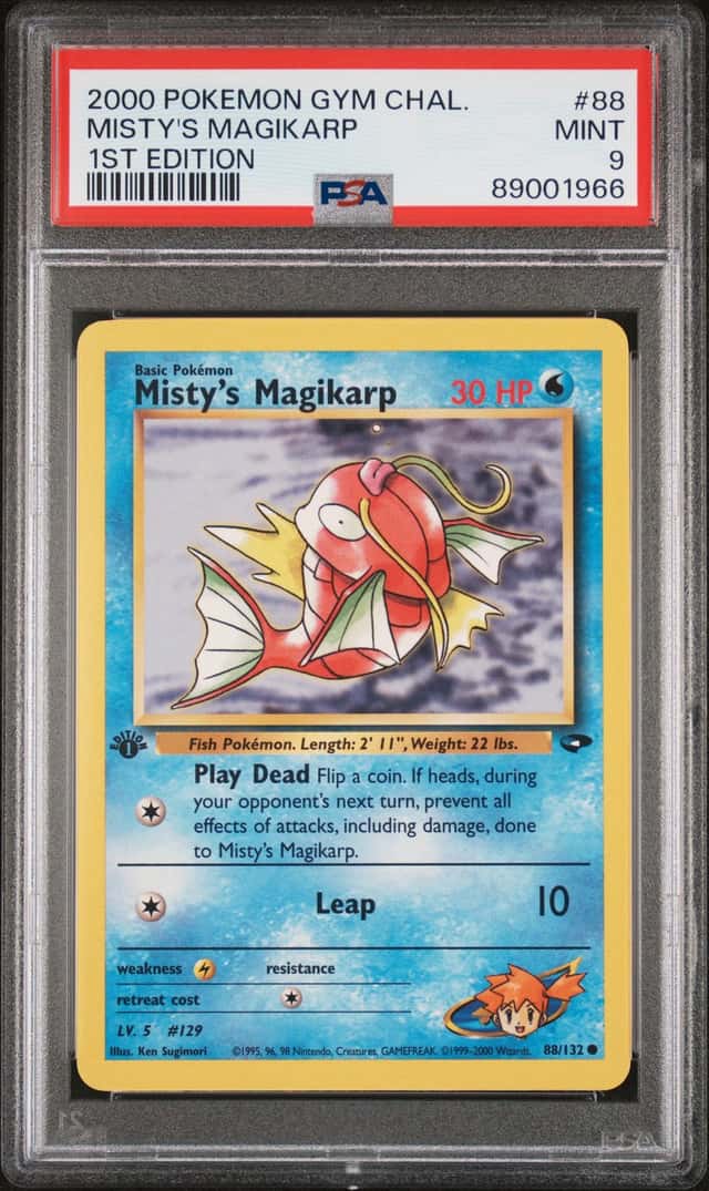 Misty's Magikarp