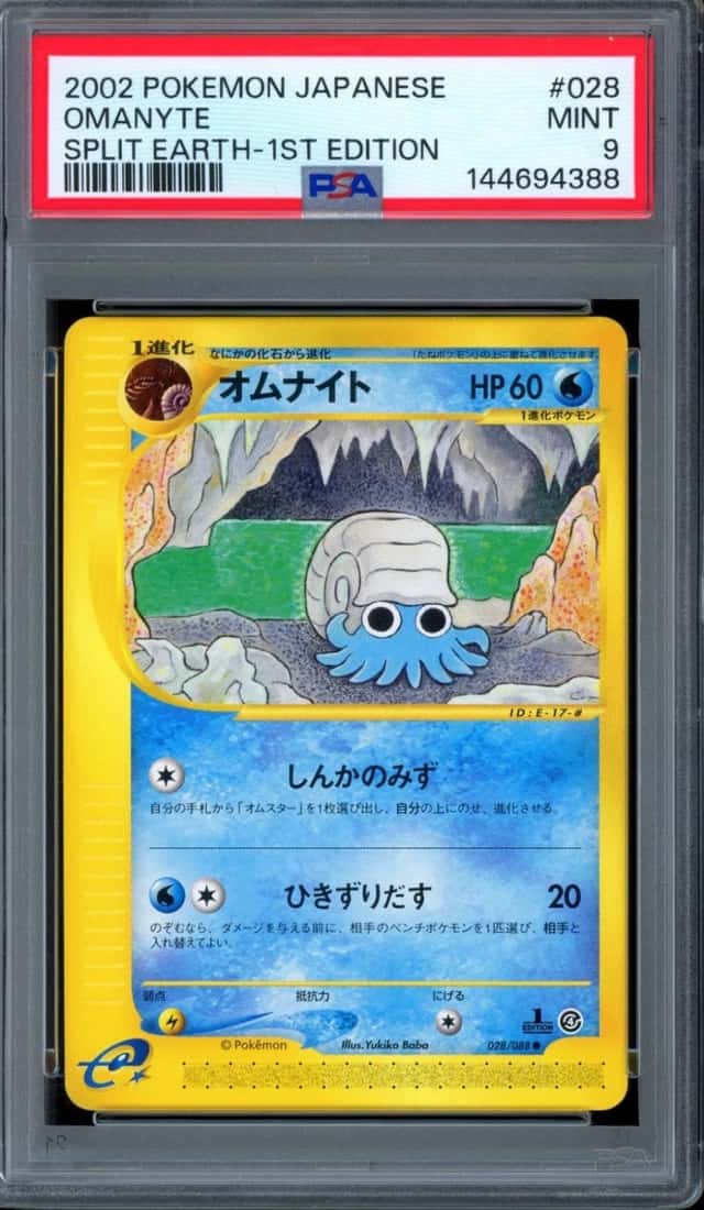Omanyte