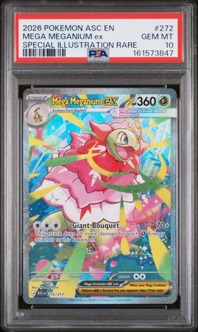 MEGA MEGANIUM ex
