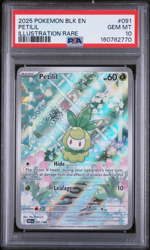 Petilil