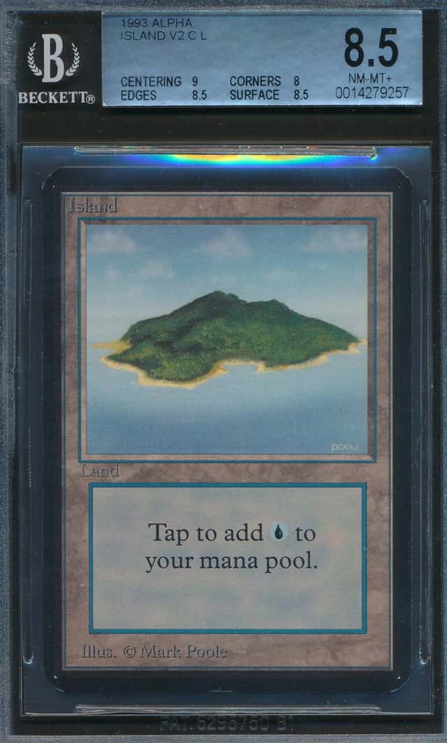 Island v2 L