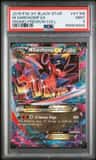 M Garchomp Ex