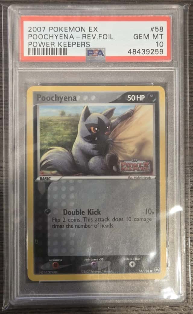 Poochyena