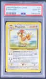Pidgeotto
