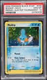 Mudkip