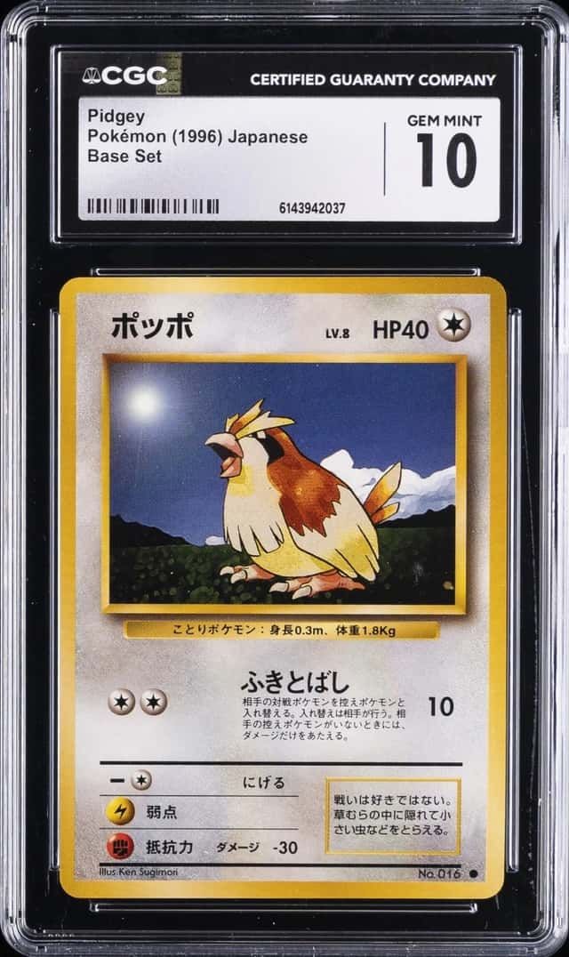 Pidgey