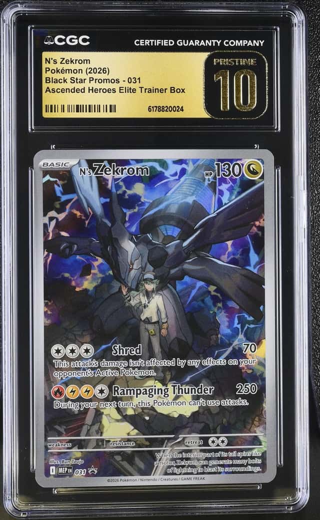 N's Zekrom
