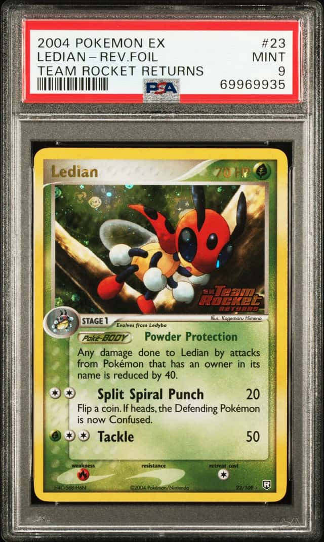Ledian