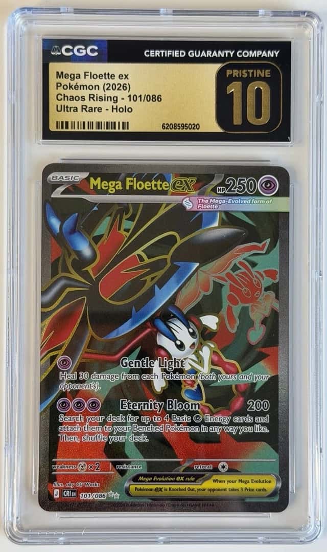 MEGA FLOETTE ex