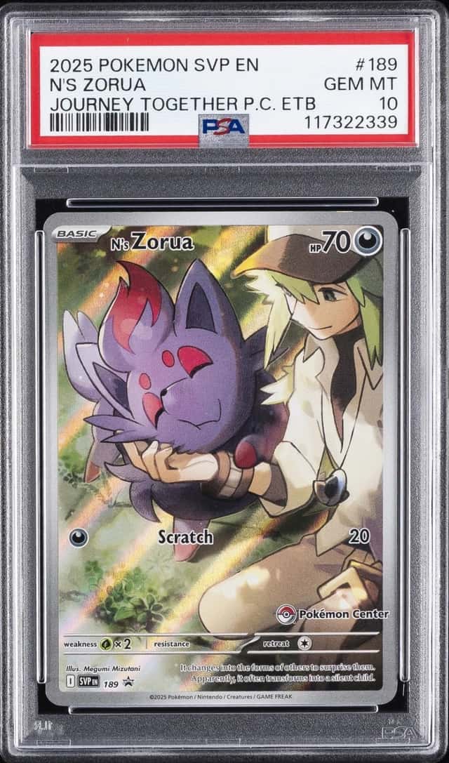 N's Zorua
