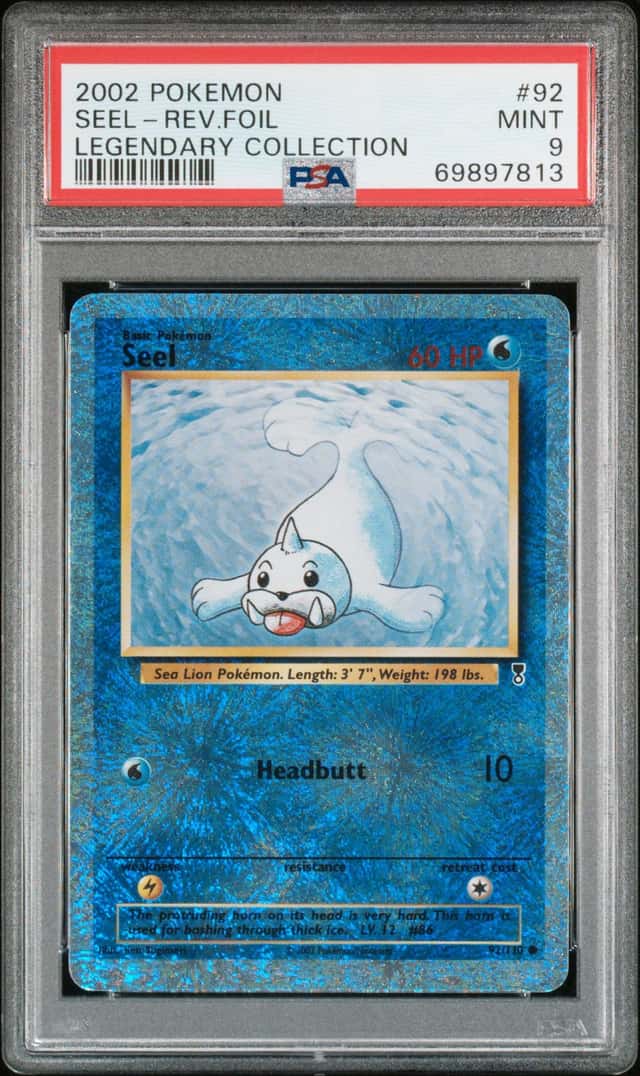 Seel