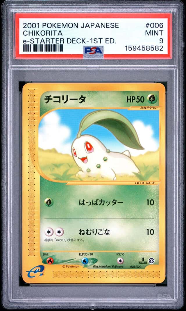 Chikorita