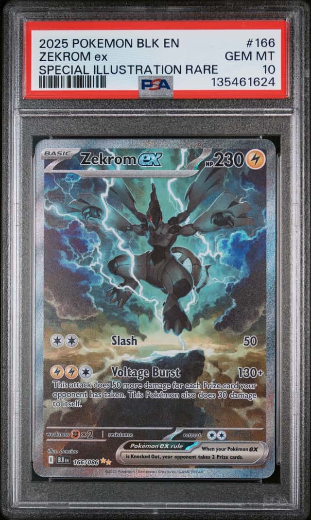 ZEKROM ex