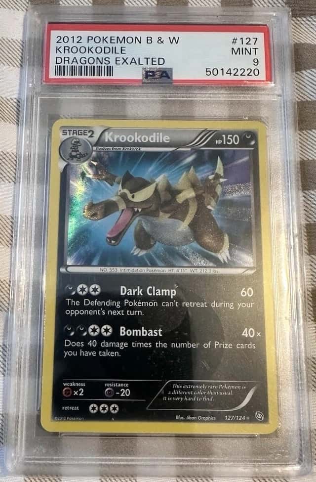 Krookodile