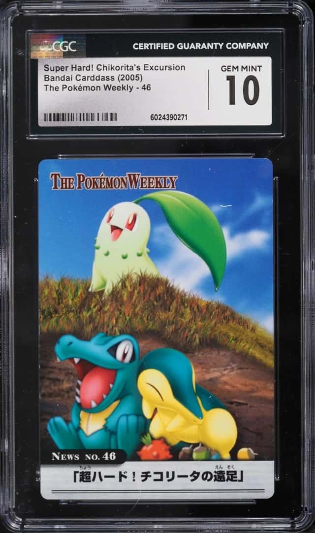 Super Hard! Chikorita's Excursion