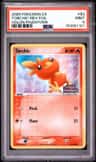 Torchic