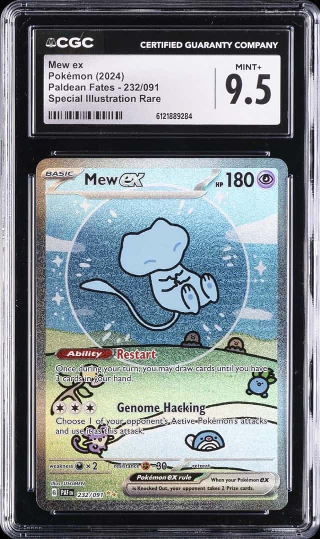 MEW ex
