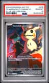 Team Rocket'S Mimikyu