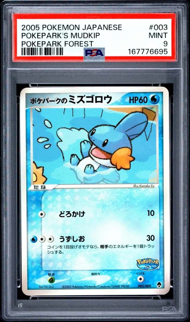 Pokepark's Mudkip