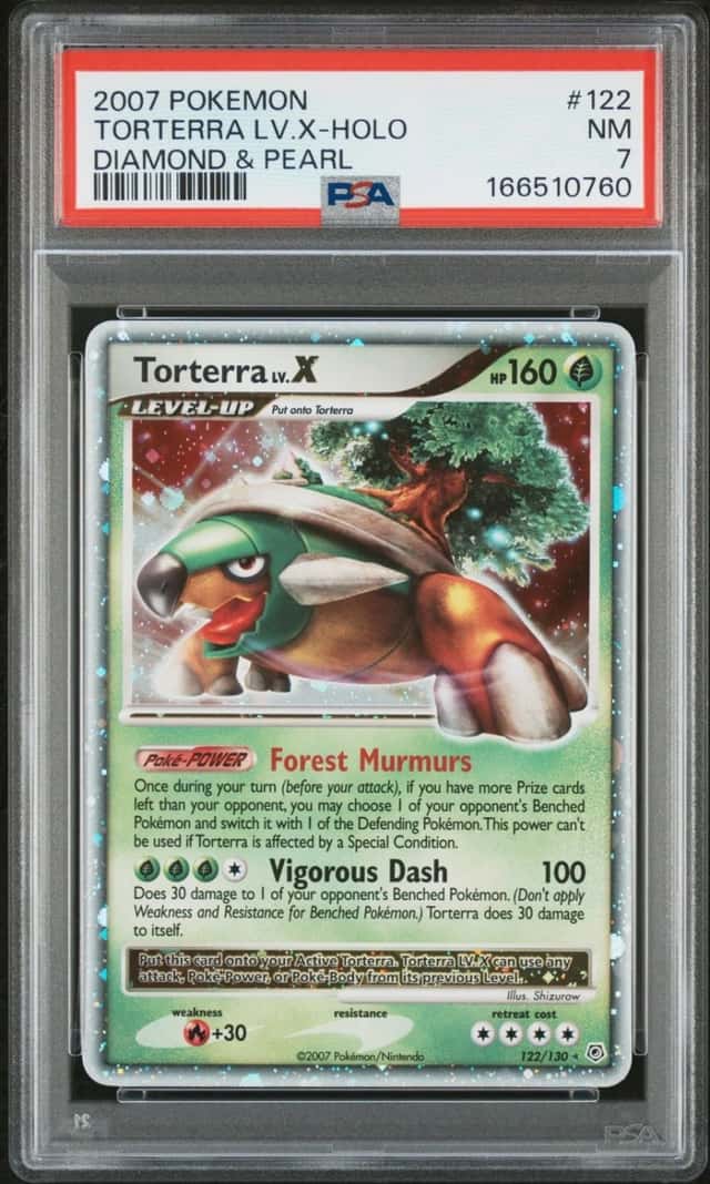 TORTERRA LV.X