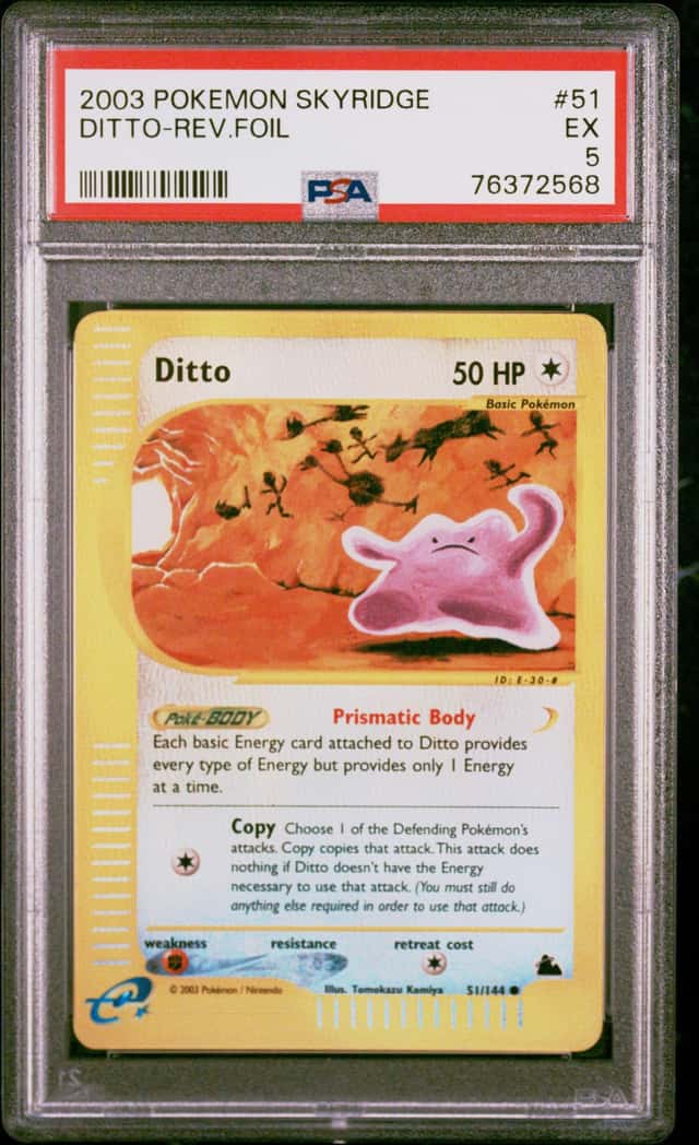 Ditto