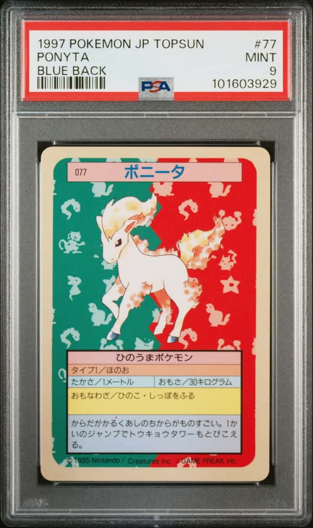 Ponyta